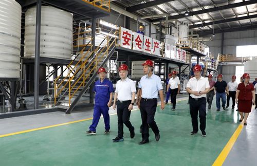 湖南永澤冶金與永晟?？萍夹聫S竣工投產，并深化教育咨詢服務，開啟產業與人才協同發展新篇章